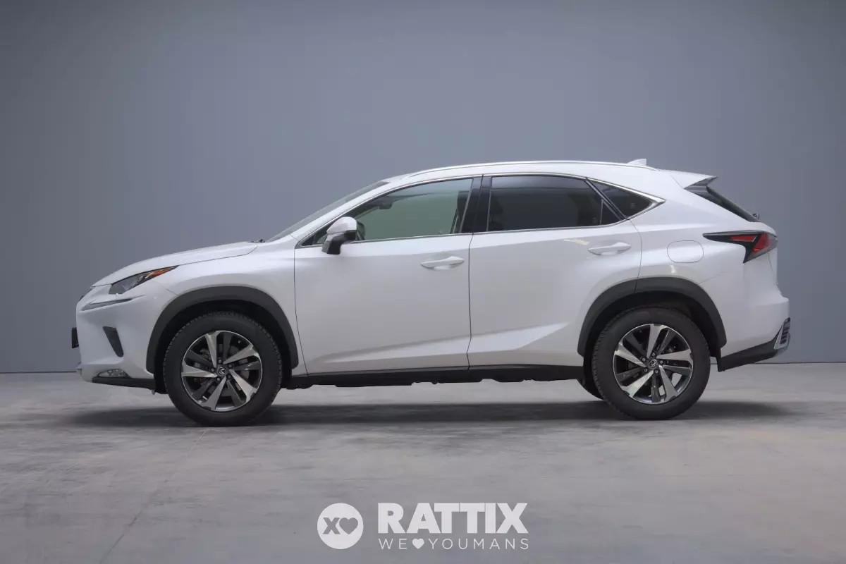 Lexus NX 300h 2.5 Luxury 4WD CVT