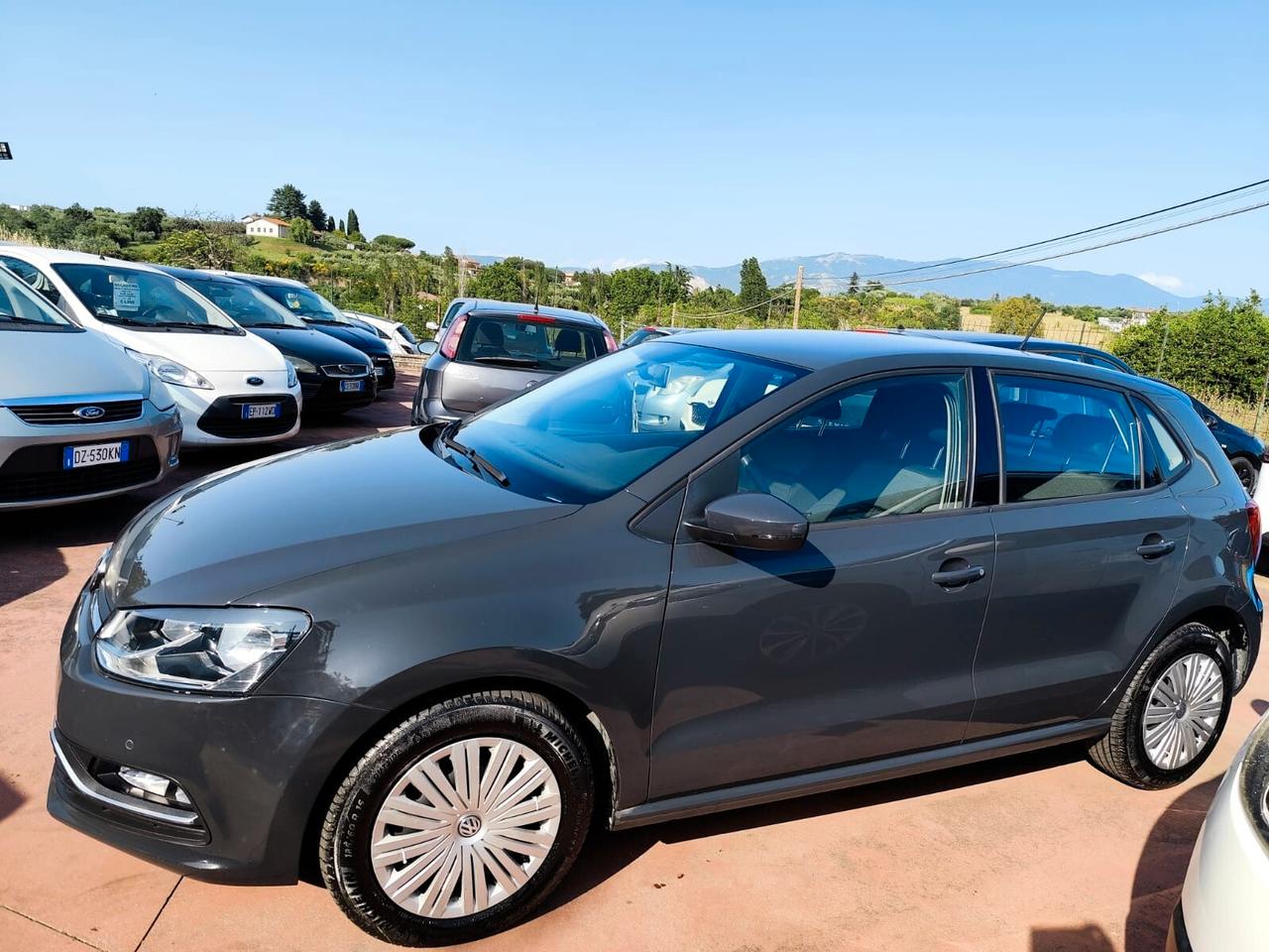 Volkswagen Polo 1.4 TDI 5p. Business