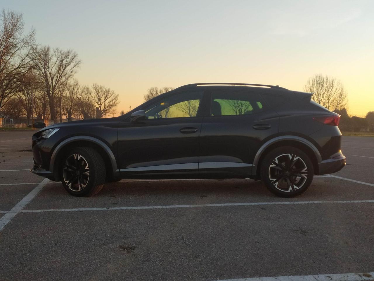 Cupra Formentor Tribe Edition 2.0 TDI #8281