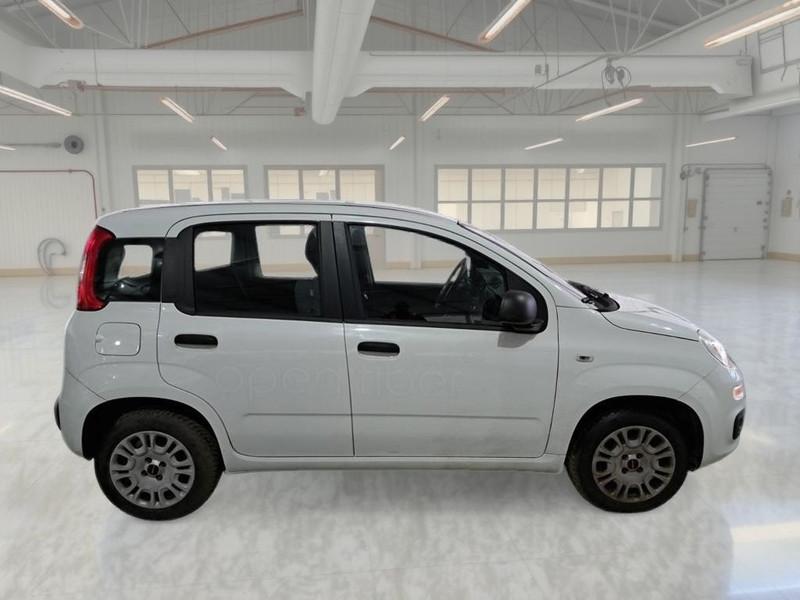 FIAT PANDA 1.2 69 CV E6 EASY 5 PORTE BERLINA