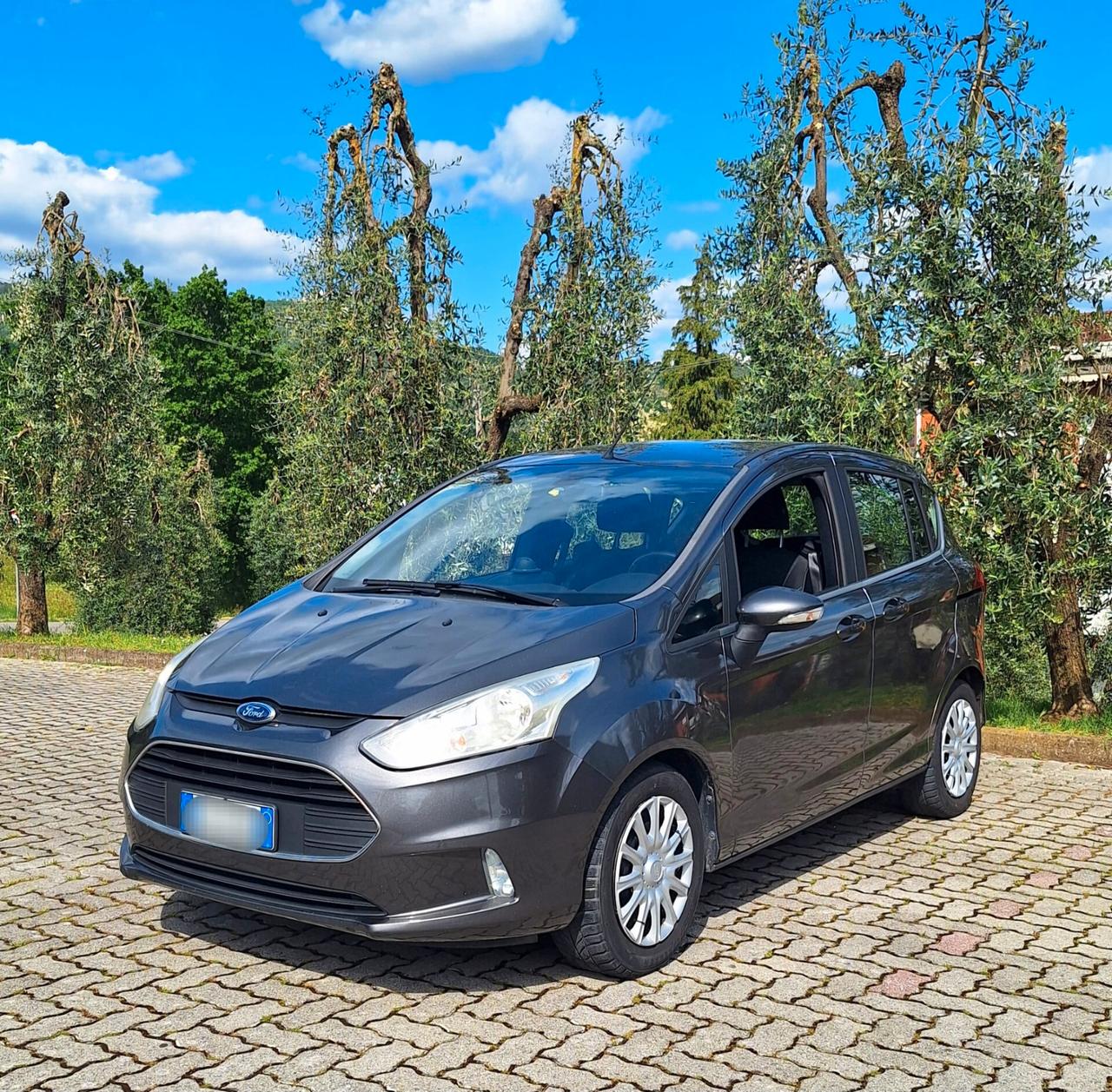 Ford B-Max 1.6 TDCi 95 CV Business - Tagliandata Cinghia fatta