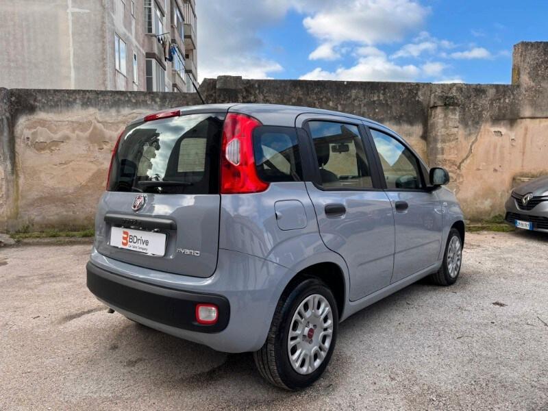 FIAT Panda 3ª serie Panda 1.0 FireFly S&S Hybrid