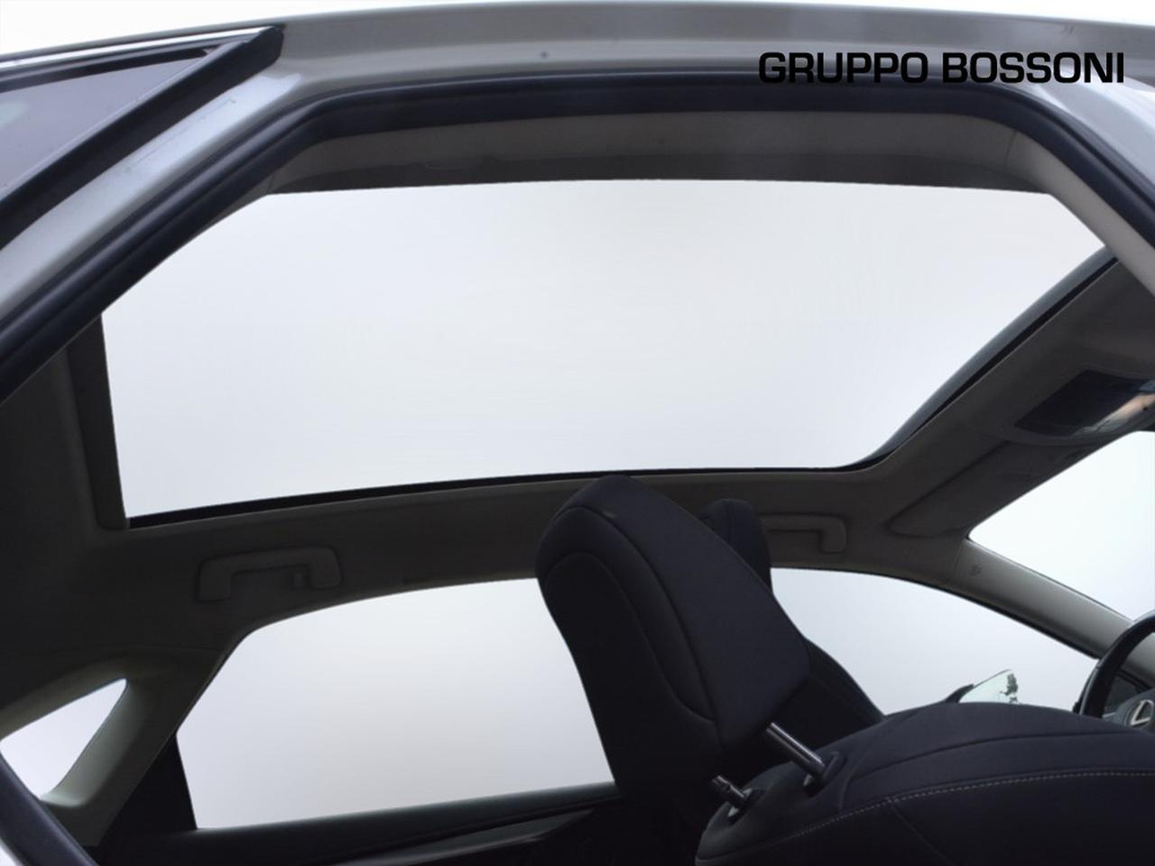 Lexus NX 300 2.5 hybrid luxury 4wd cvt