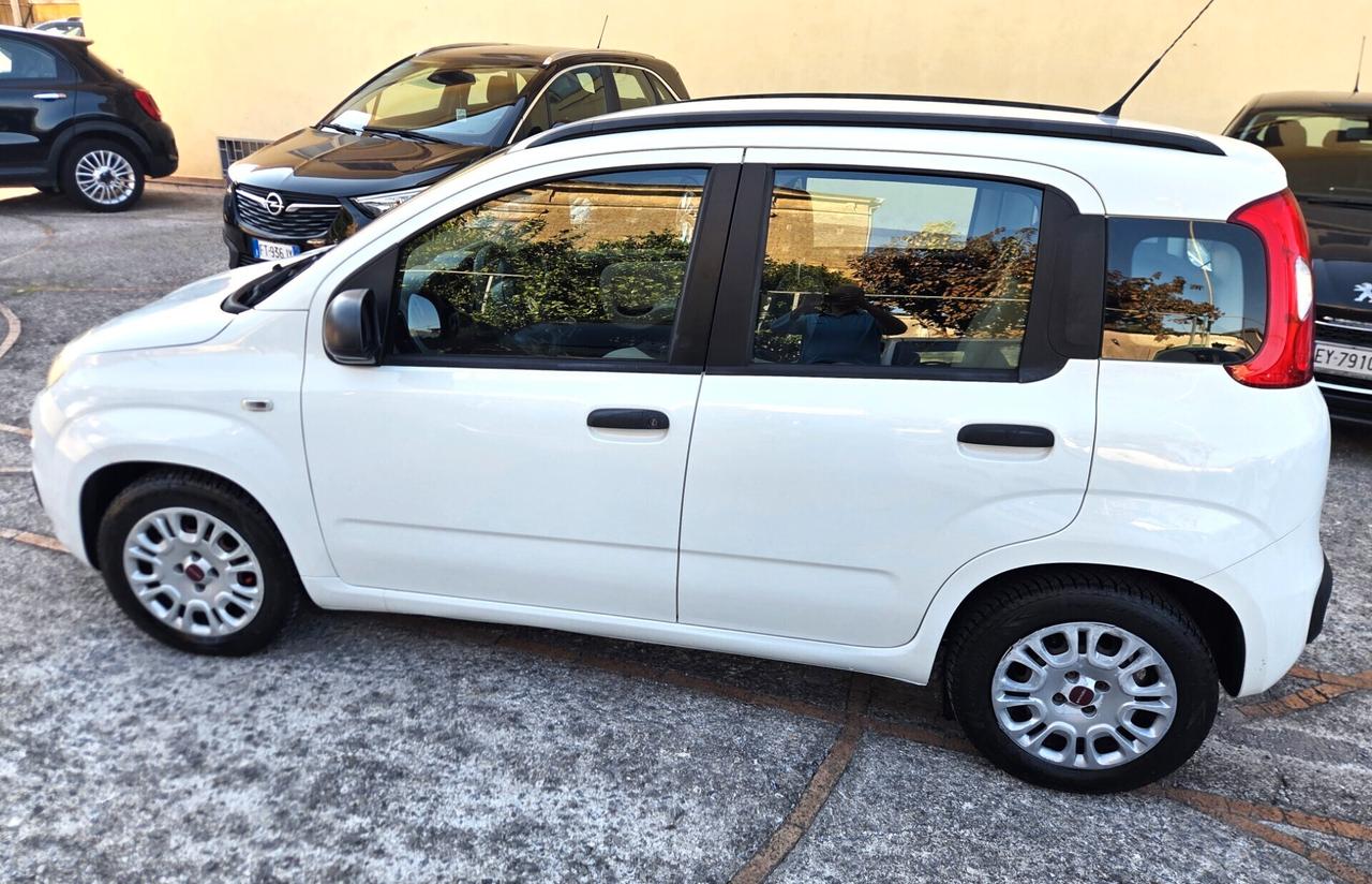 Fiat Panda 1.2 Easy BEN TENUTA GARANZIA 12 MESI