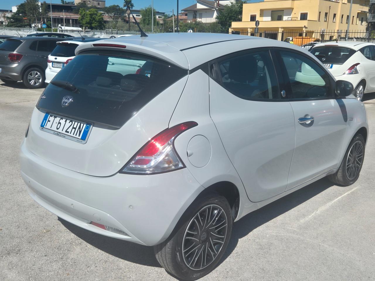 Lancia Ypsilon 1.2 69 CV GPL Ecochic 2019