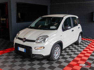 Fiat Panda 1.0 FireFly S&S Hybrid 70 cv