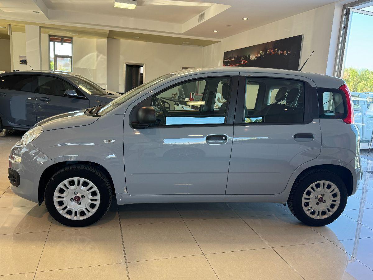 FIAT Panda 1.2 Lounge solo 70.000km