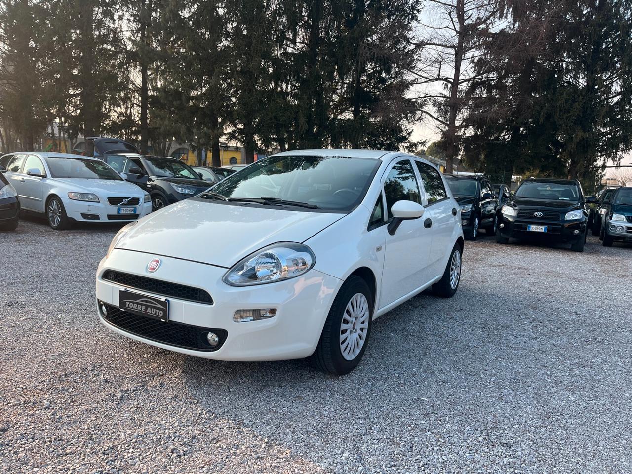 Fiat Punto 1.3 MJT 95CV S&S 5 porte N1 4 POSTI