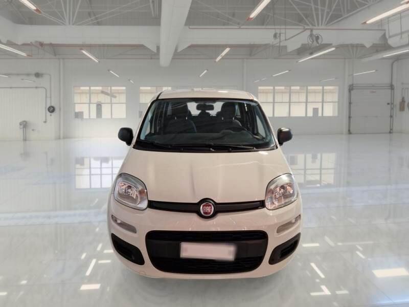 Fiat Panda Fiat Panda 1.2 easy 5 posti