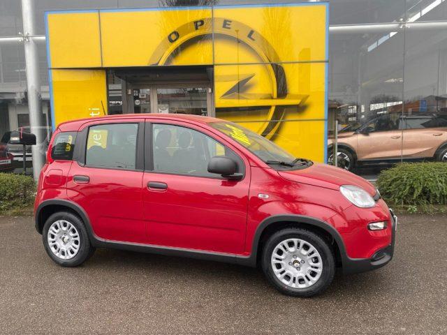 FIAT Panda 1.0 FireFly S&S Hybrid Pandina