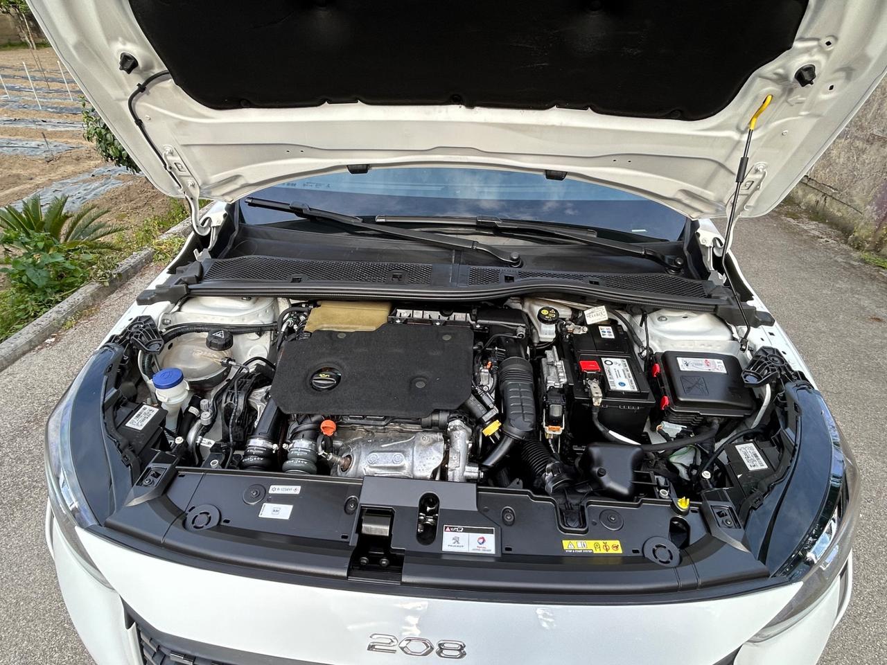 Peugeot 208 BlueHDi 100 Stop&Start 5 porte Active