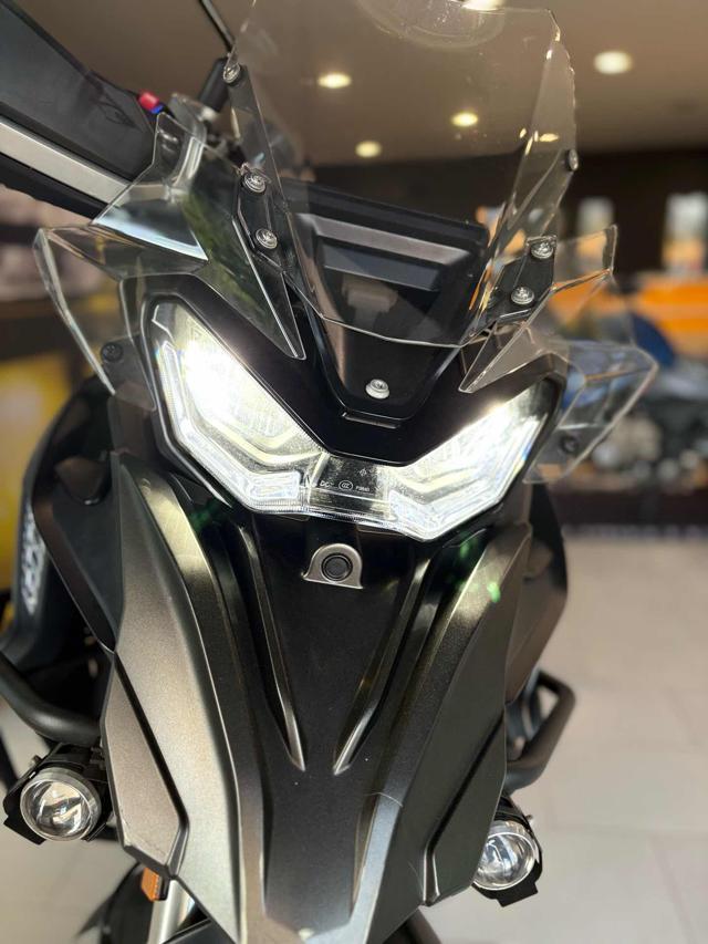 QJ MOTOR SRT 800SX sx