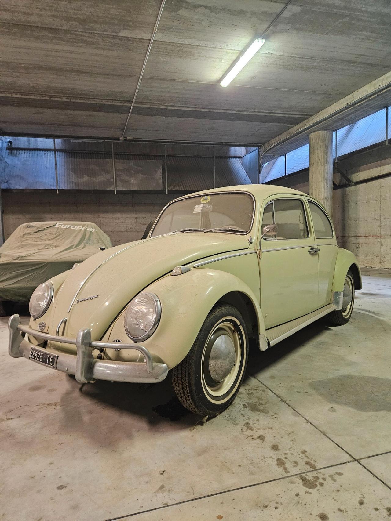 Volkswagen Maggiolino Volkswagen Maggiolino 6 V