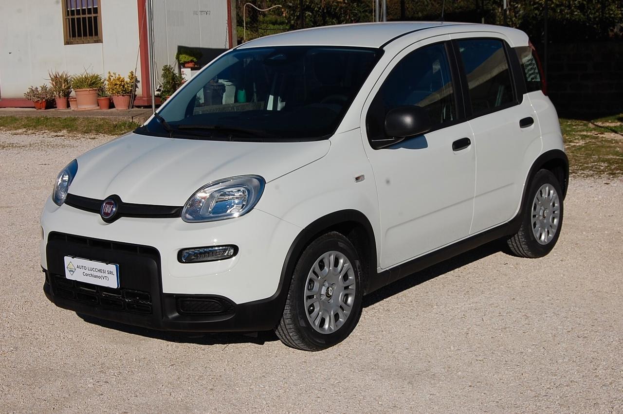 Fiat Panda 1.0 FireFly S&S Hybrid