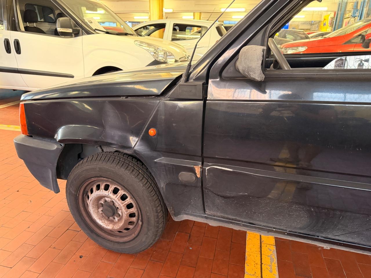 Fiat Panda 900 i.e. cat Young