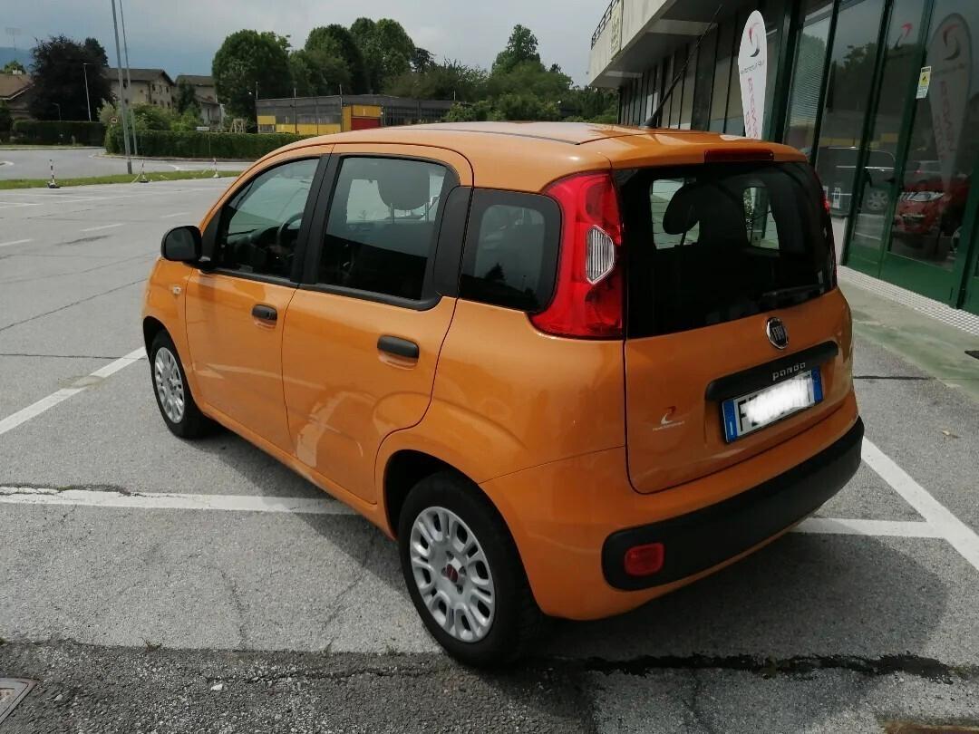 Fiat Panda 1.2 70cv 2021