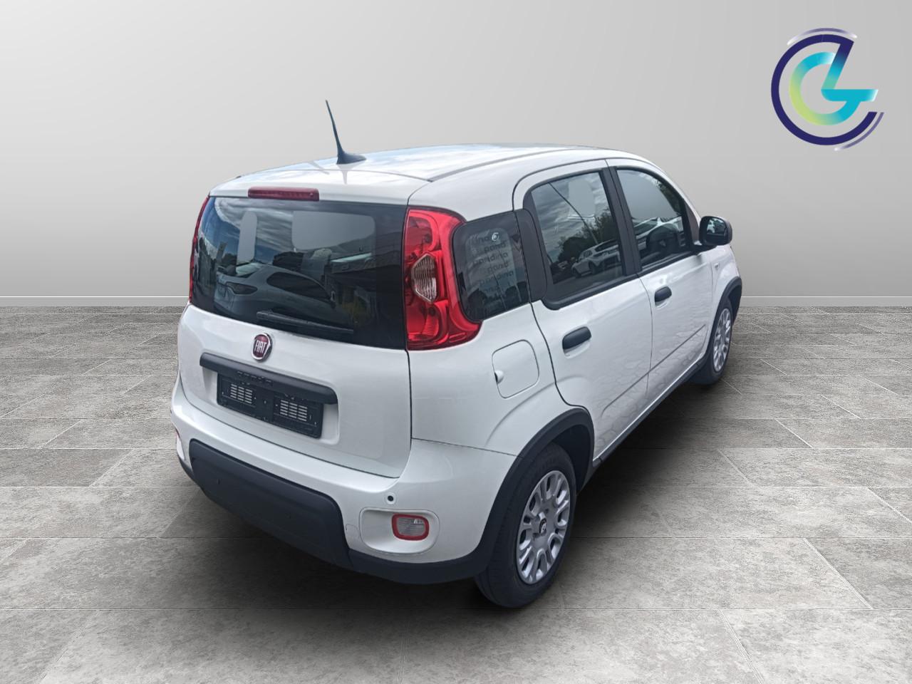 FIAT Panda III 2024 - Panda 1.0 firefly hybrid s&s 70cv