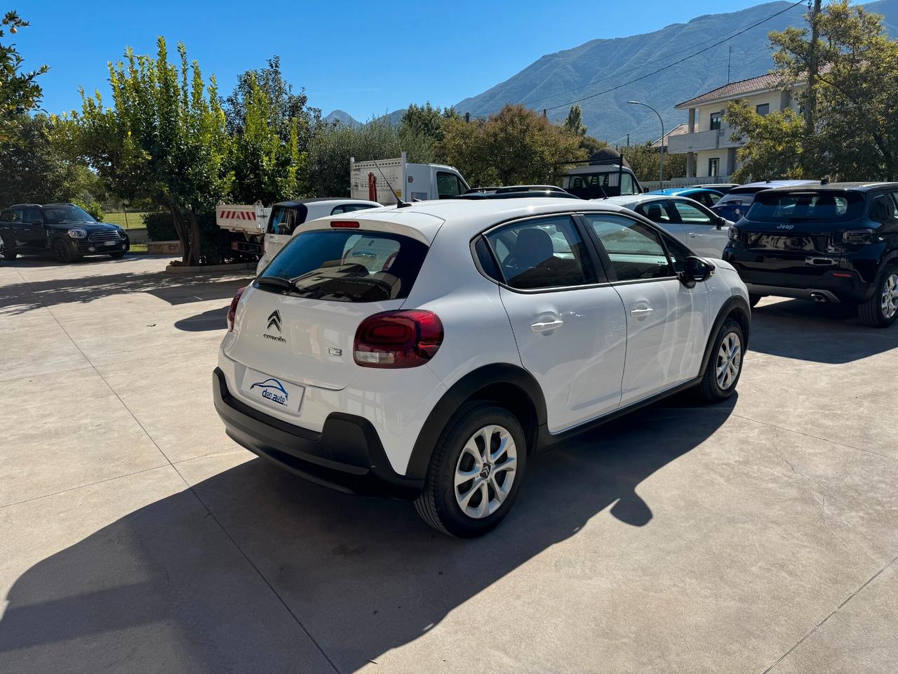 Citroen C3 1.5 100 cv