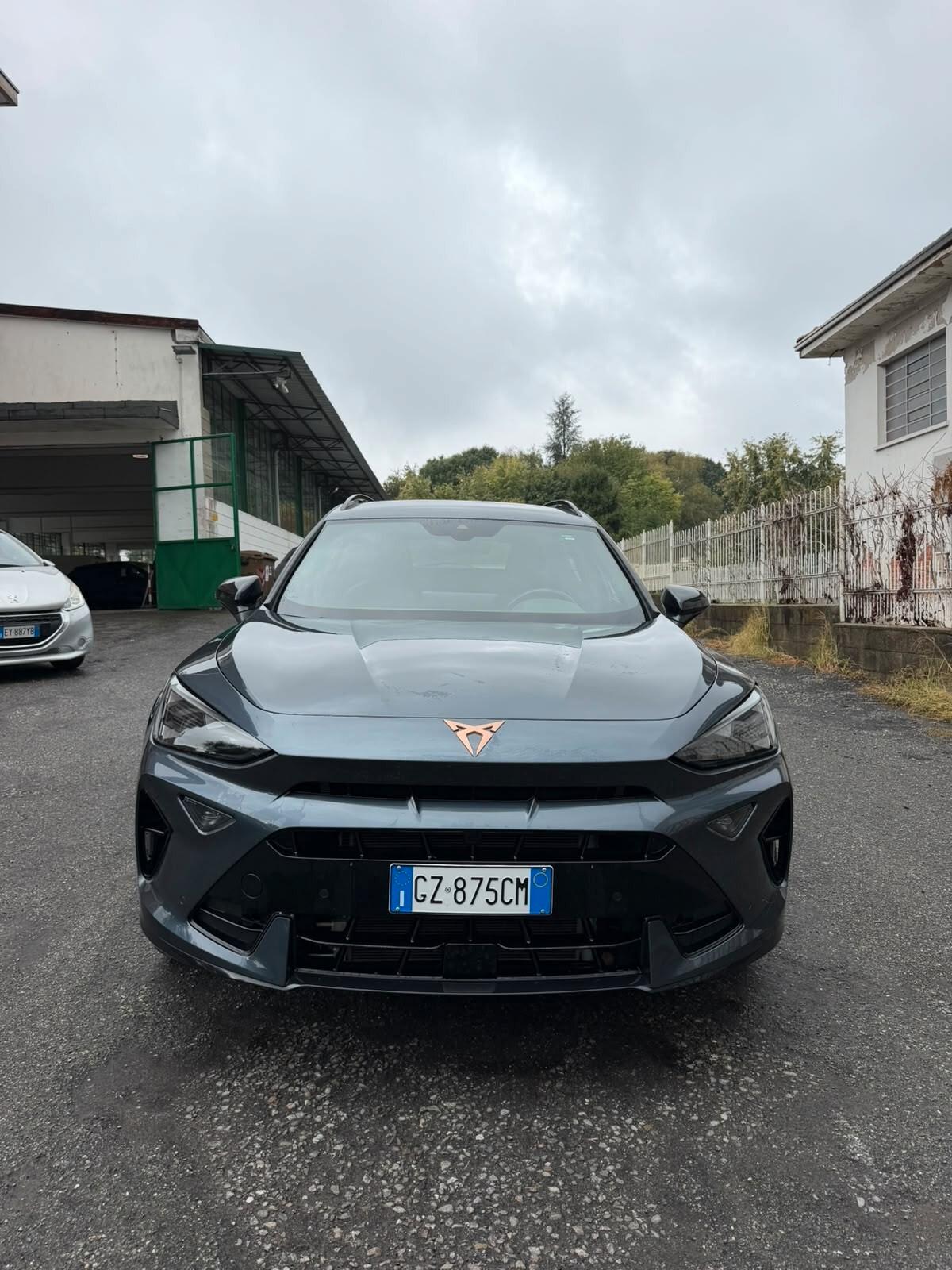 Cupra Formentor 2.0 TDI DSG TRIBE EDITION
