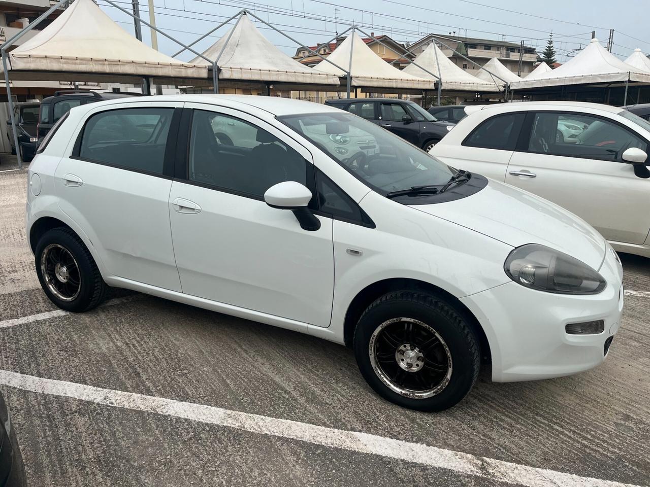 Fiat Punto Evo Punto Evo 1.2 5 porte S&S Active
