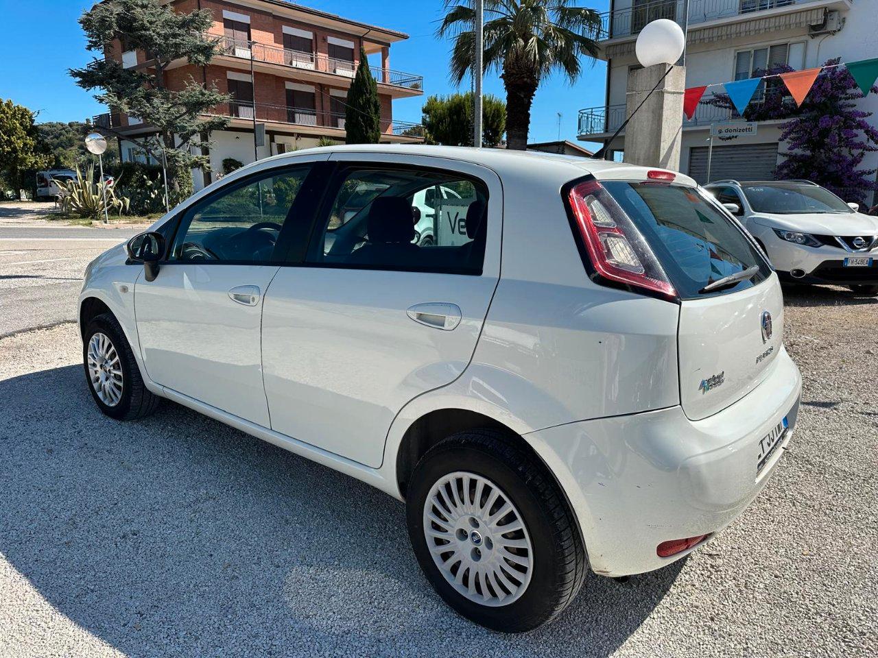 Fiat Punto 5 Porte Punto 5p 1.4 natural power Pop 70cv