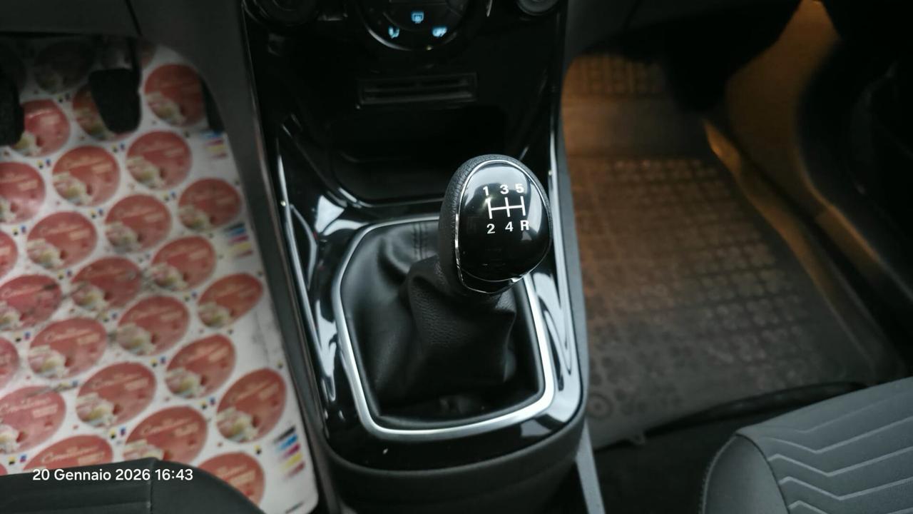 Ford Fiesta 1.5 TDCi 75CV 5 porte Titanium