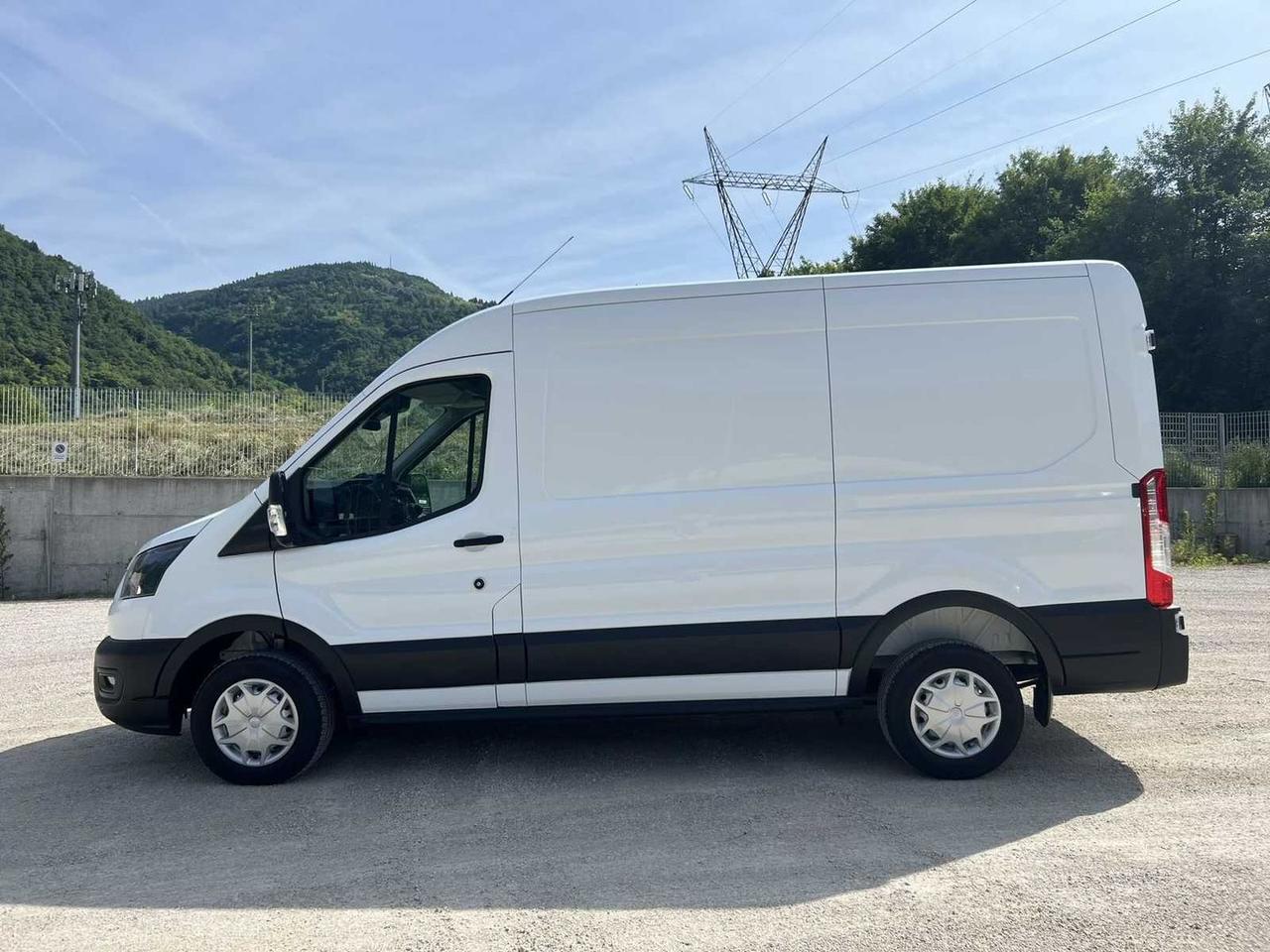 Ford Transit 2.0 TDCi EcoBlue 130CV Furgone #50698
