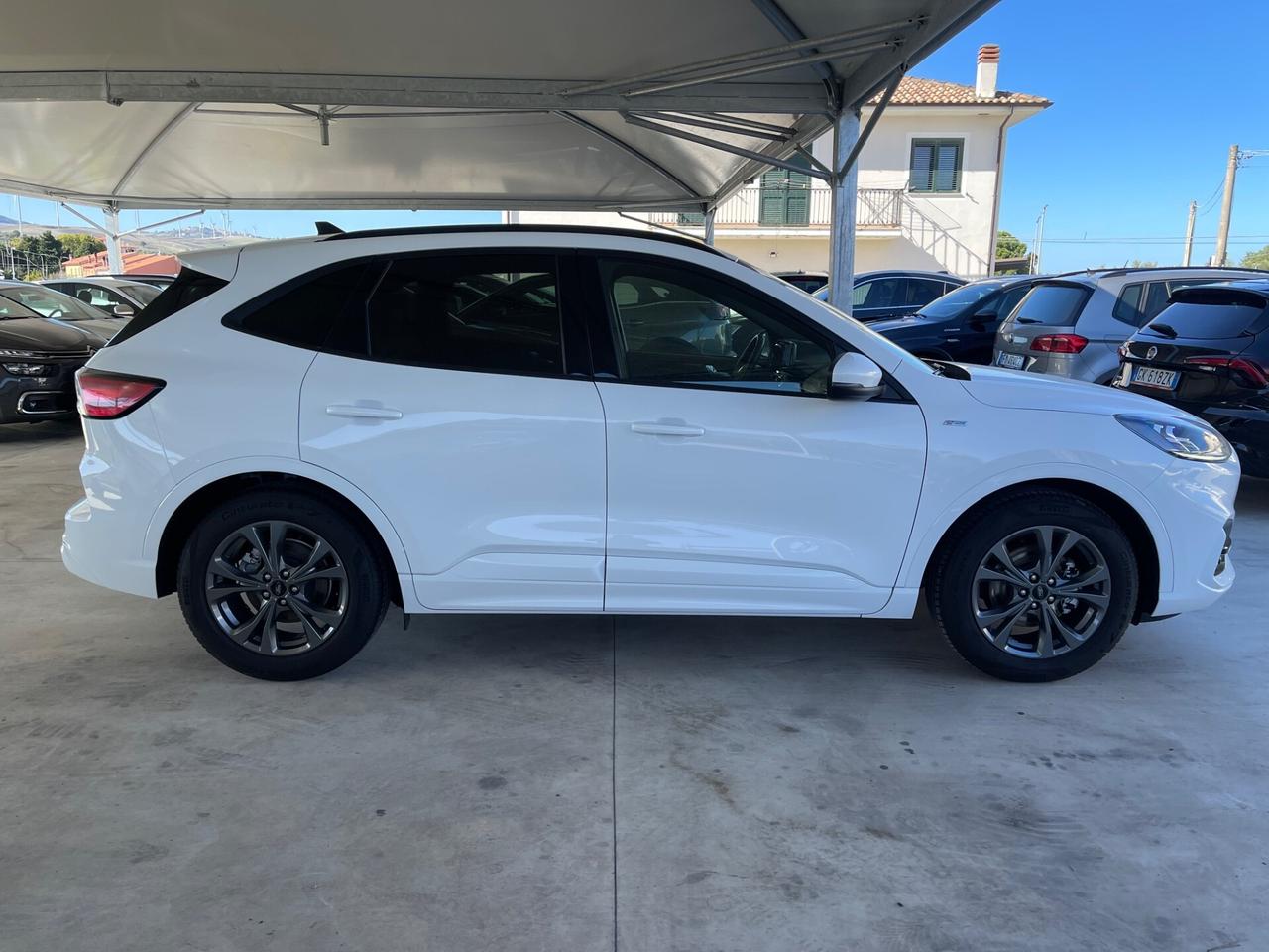 Ford Kuga 1.5 EcoBlue 120 CV aut. 2WD ST-Line