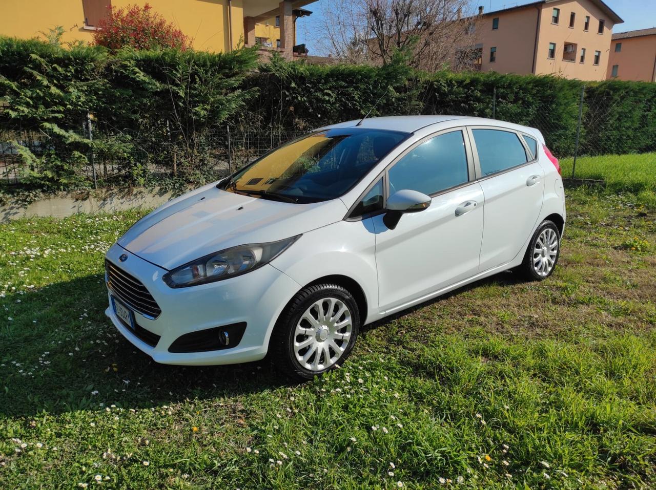 Ford Fiesta 1.4 5 porte Bz.- GPL Black & White Edition