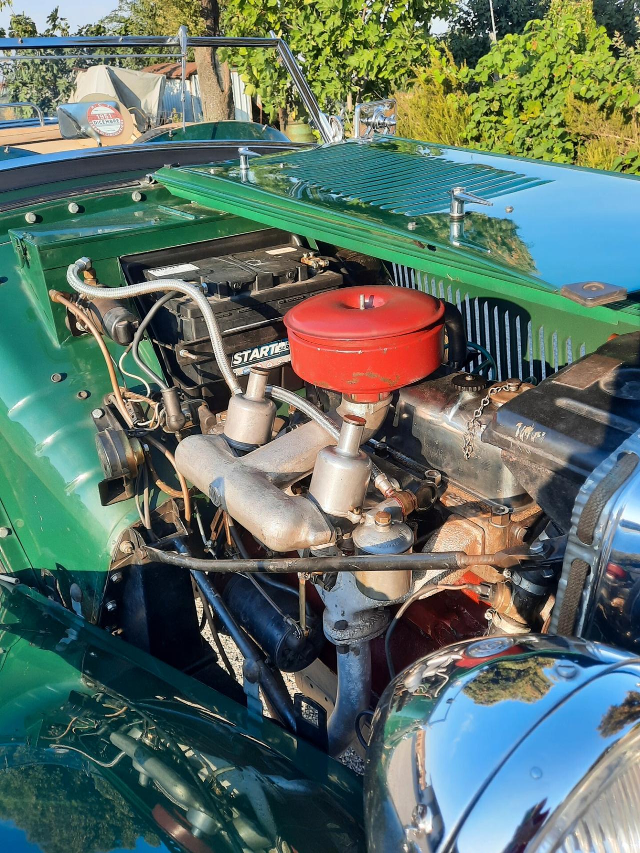 Mg TD