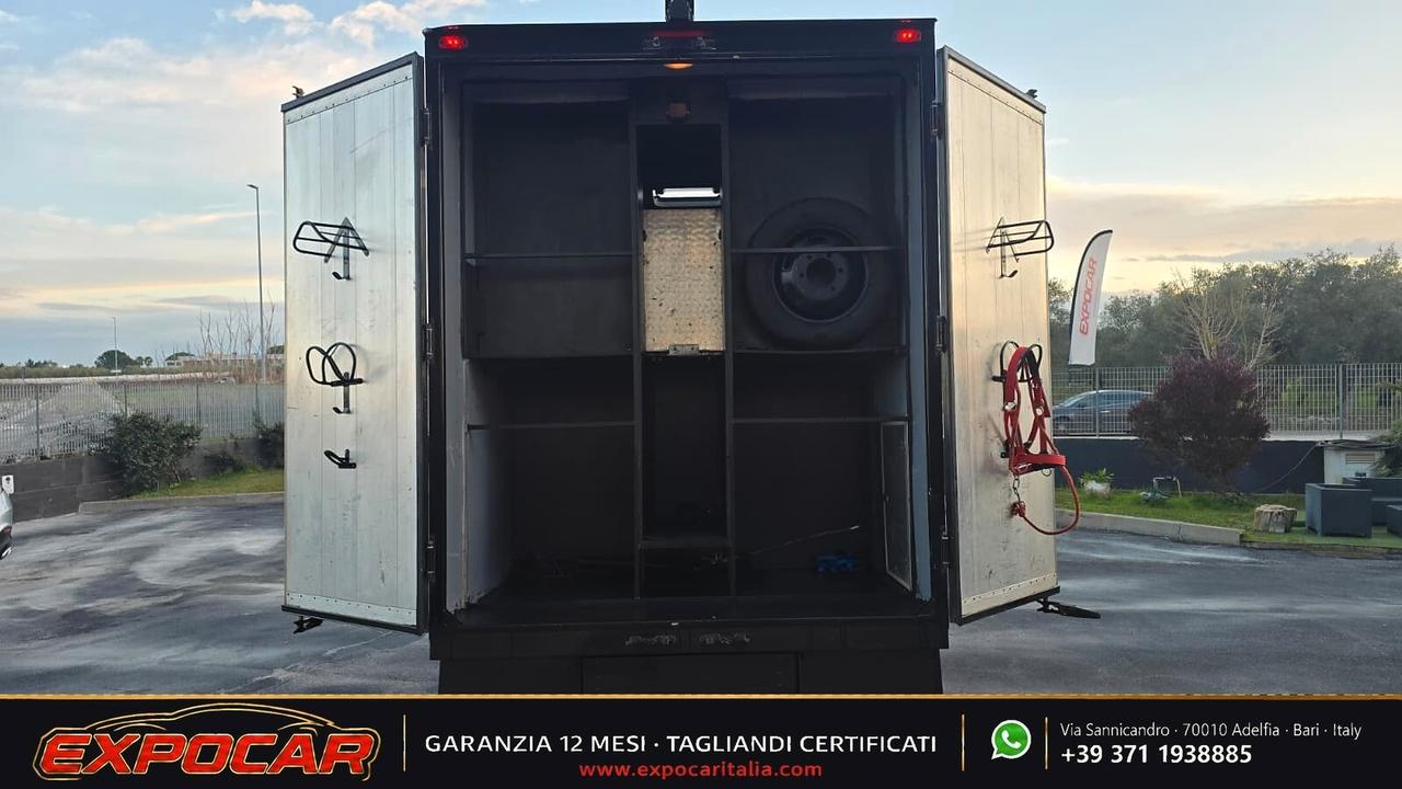 Iveco Daily - Trasporto Cavalli