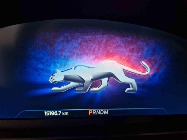 FORD Puma 1.0 EcoBoost Hybrid 125 CV aut. ST-Line