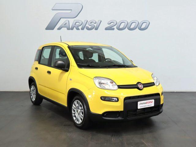 FIAT Panda 1.0 FireFly S&S Hybrid new version 2024