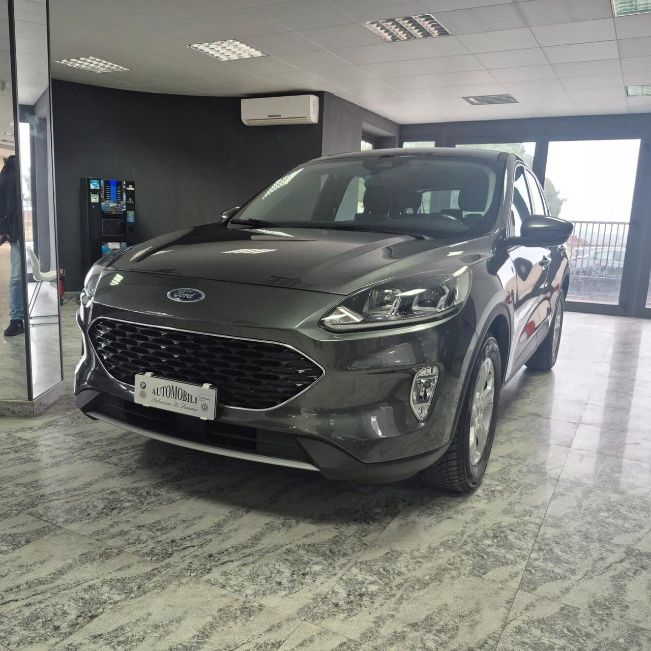 Ford Kuga 1.5 EcoBlue 120 CV aut. 2WD Titanium Business