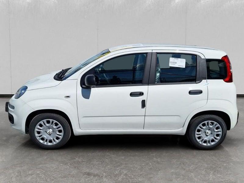 FIAT Pandina Cross 1.0 firefly hybrid s&s 70cv