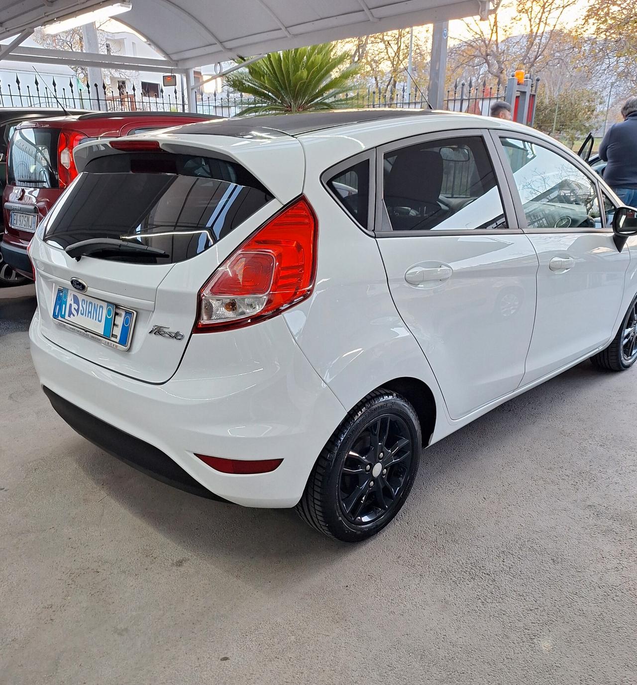Ford Fiesta 1.5 TDCi 75CV 5 porte Black & White Edition E6