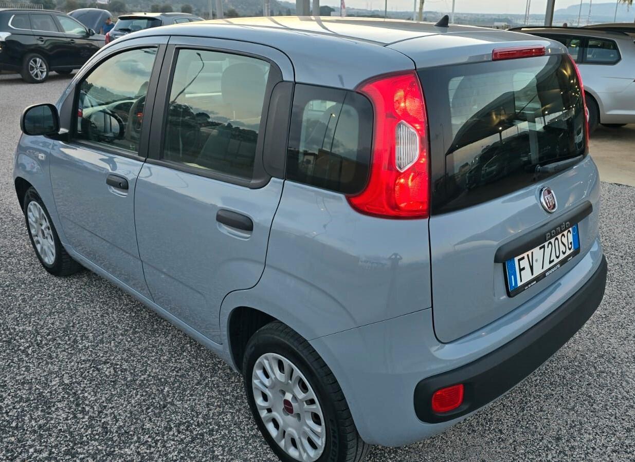 Fiat Panda 1.2 Lounge - PARI AL NUOVO -