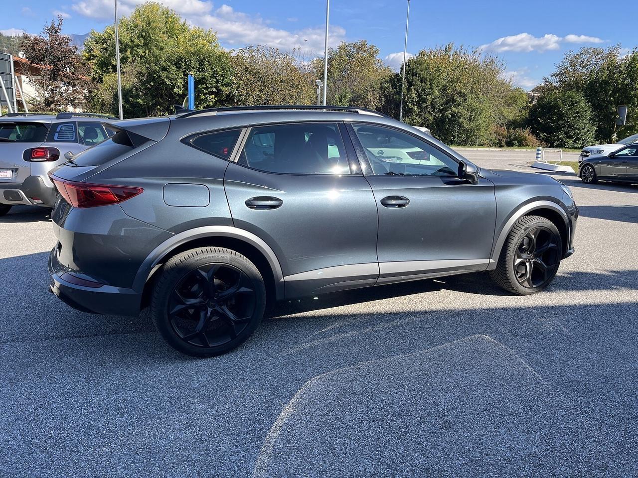 CUPRA FORMENTOR 2.0 TDI 150 CV 4X4 DSG