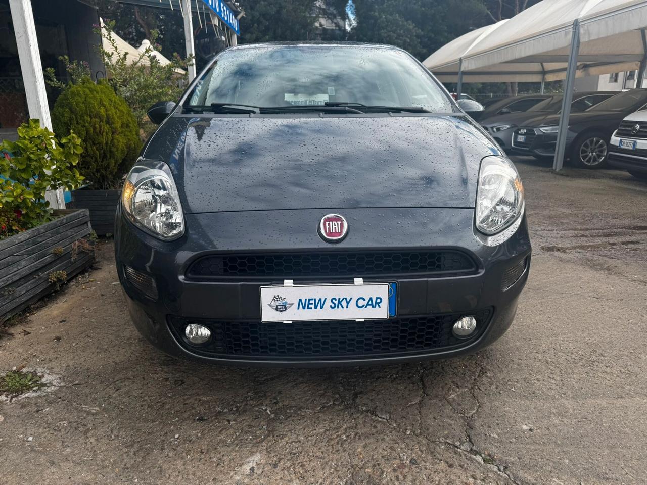 Fiat Punto 1.3 MJT II S&S 95 CV 5 porte Street