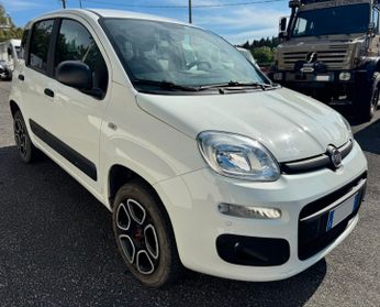 Fiat Panda 0.9 TwinAir Turbo S&S 4x4 Pop Van 2 posti