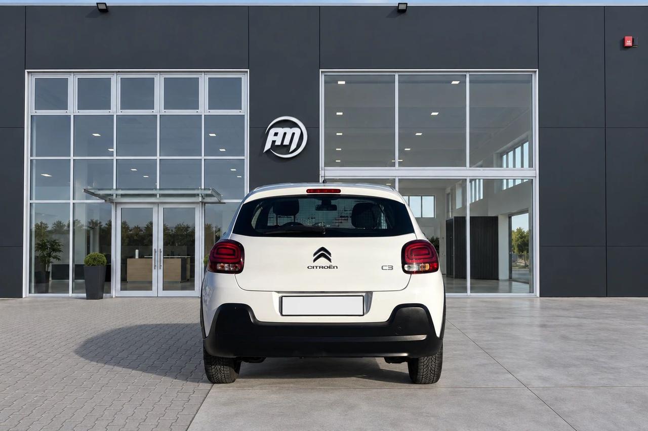 Citroen C3 1.5 100CV Van 2 Posti