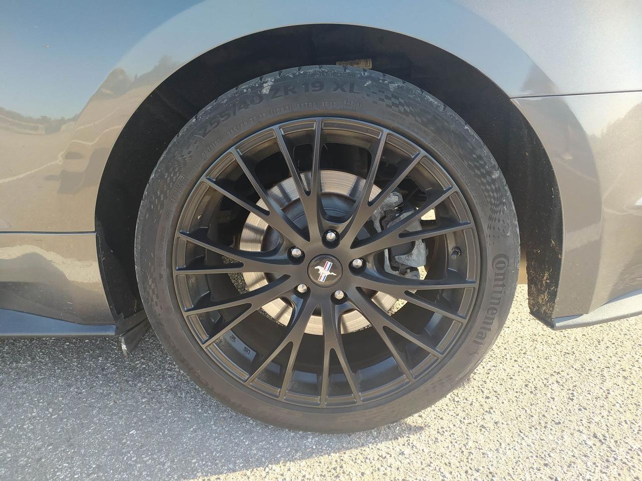 Ford Mustang 2.3 EcoBoost #6892