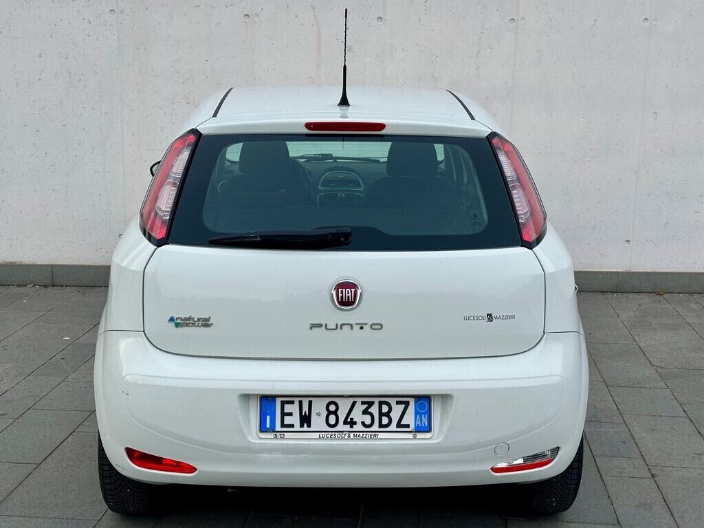 Fiat Punto 1.4 8V 5 porte Natural Power Lounge