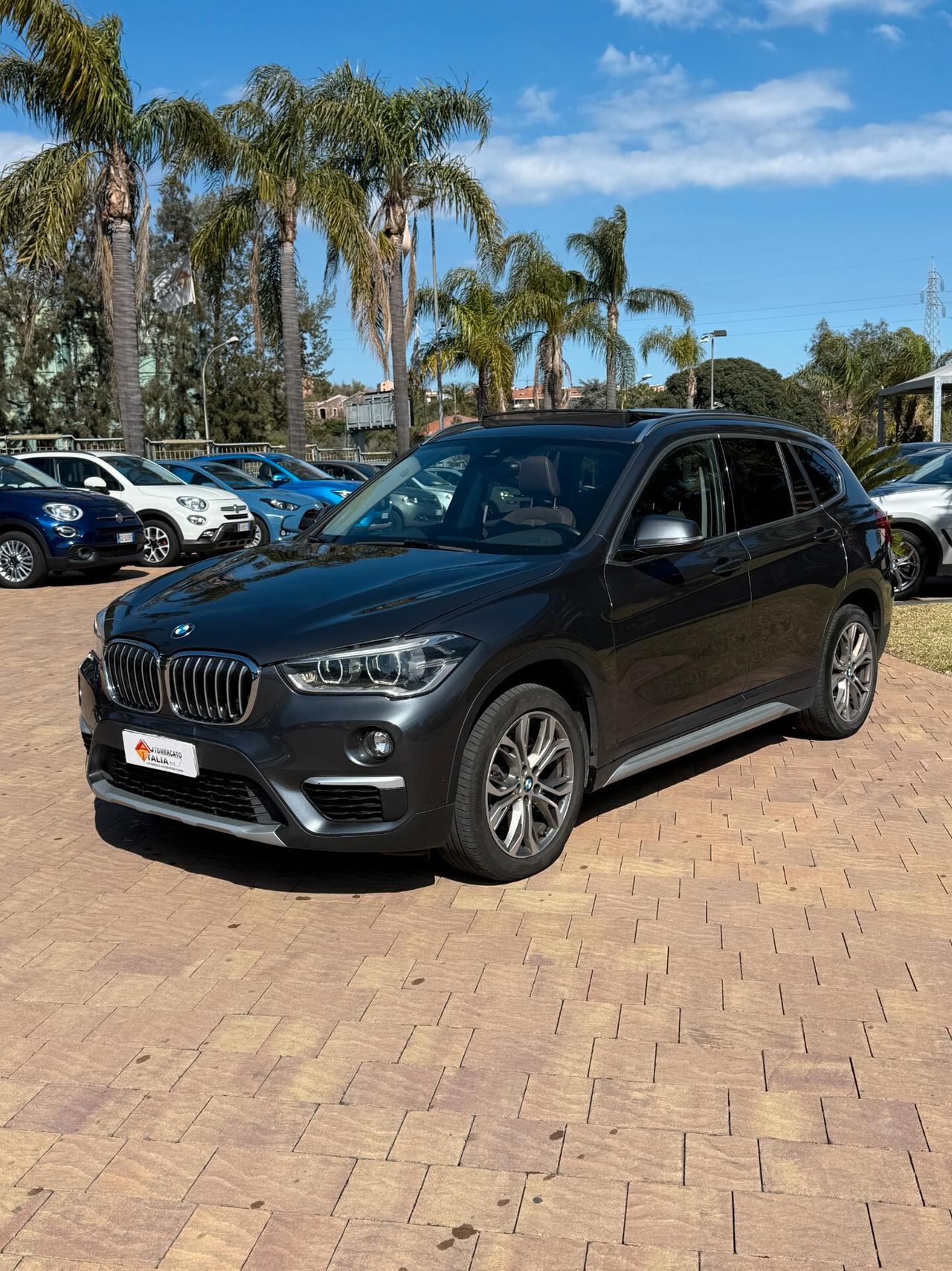 Bmw X1 sDrive20d Business