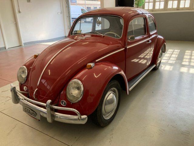 VOLKSWAGEN Maggiolino nasino 11-113