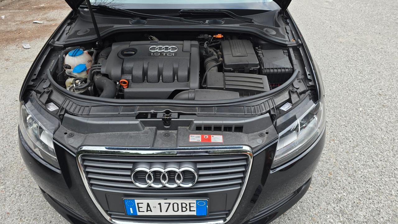 Audi A3 1900 TDI F.AP. Attraction
