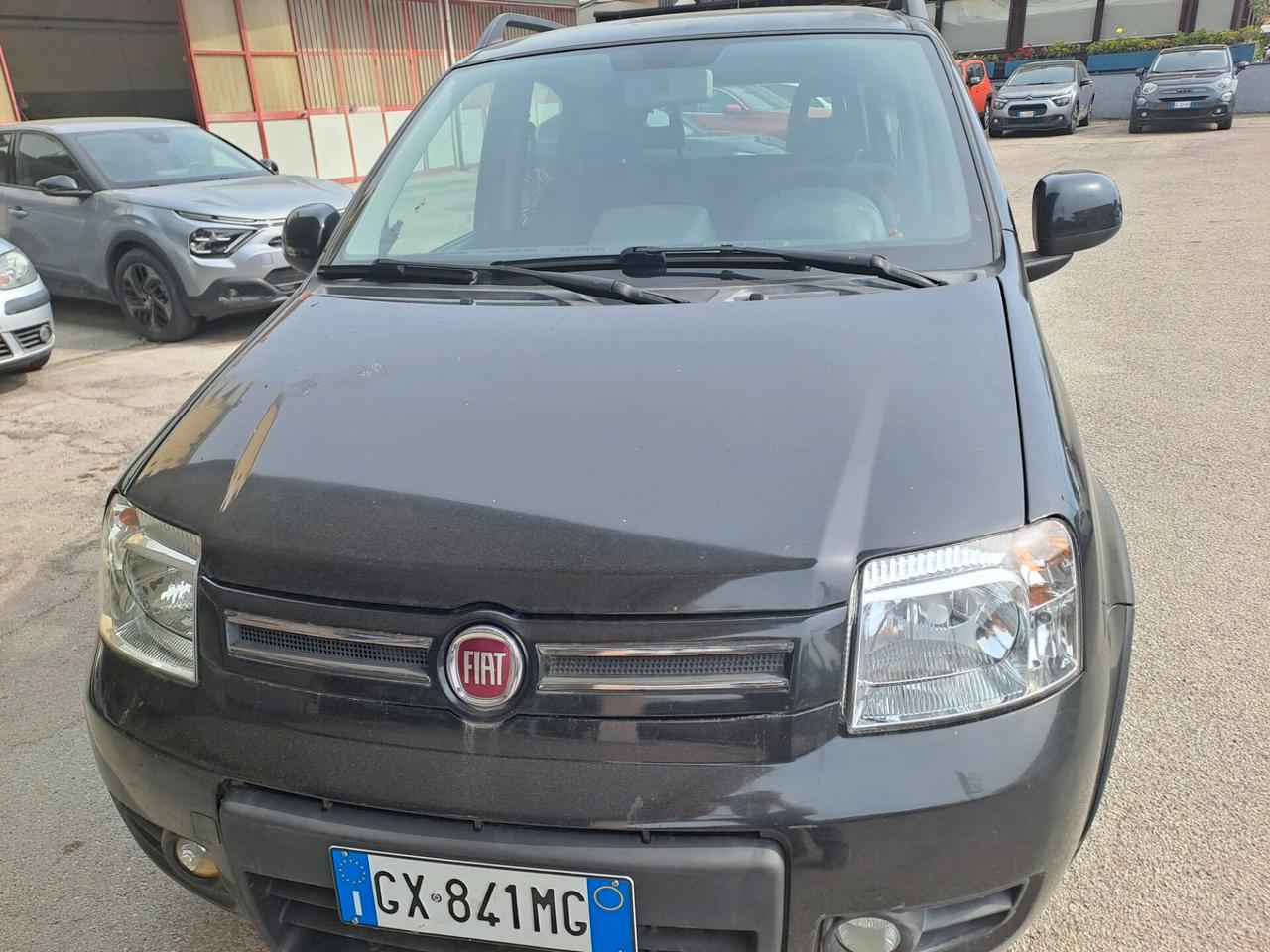 Fiat Panda 1.3 MJT 16V DPF 4x4 Climbing