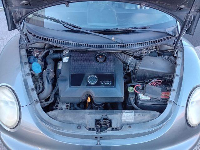 VOLKSWAGEN New Beetle 1.9 TDI 105CV OK DISTRIBUZIONE