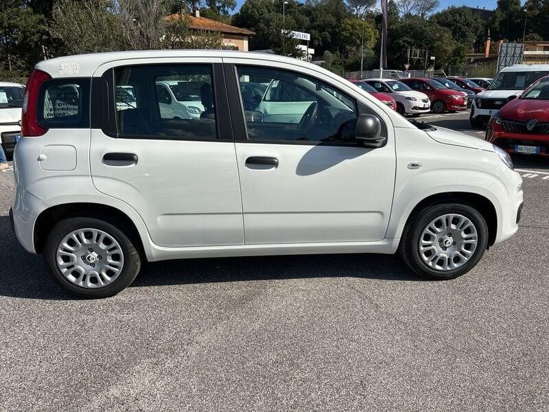 FIAT Panda New 1.0 70cv Hybrid Pop