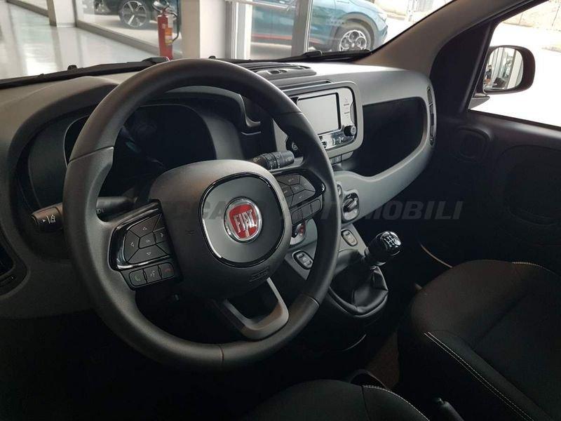FIAT Panda Panda 1.0 firefly hybrid s&s 70cv